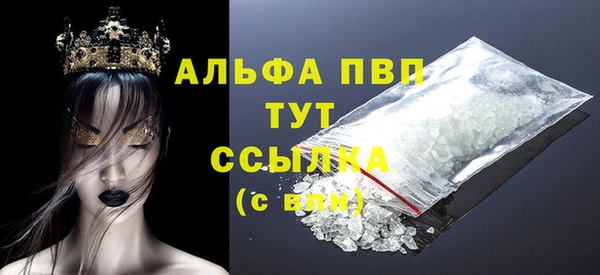 МДПВ Инсар