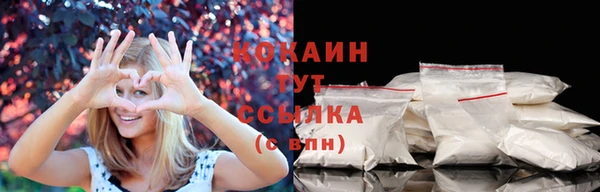 МДПВ Инсар