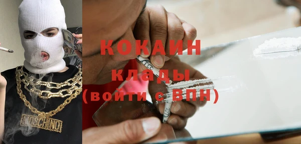 МДПВ Инсар