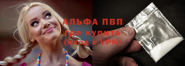 спиды Иннополис
