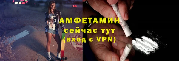 МДПВ Инсар