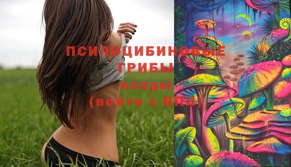 МДПВ Инсар