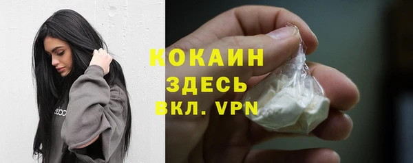 МДПВ Инсар