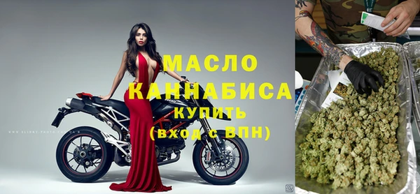 МДПВ Инсар