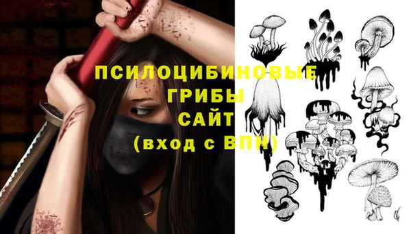 спиды Иннополис