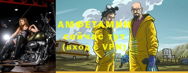 прущие грибы Каменск-Шахтинский