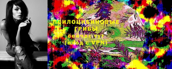 МДПВ Инсар
