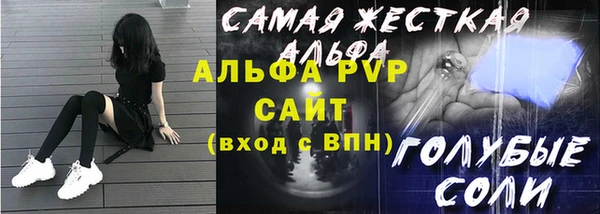 МДПВ Инсар