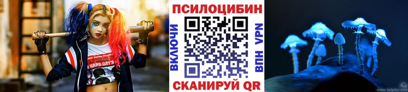 Купить  Билибино  Галлюциногенные грибы Psilocybe 